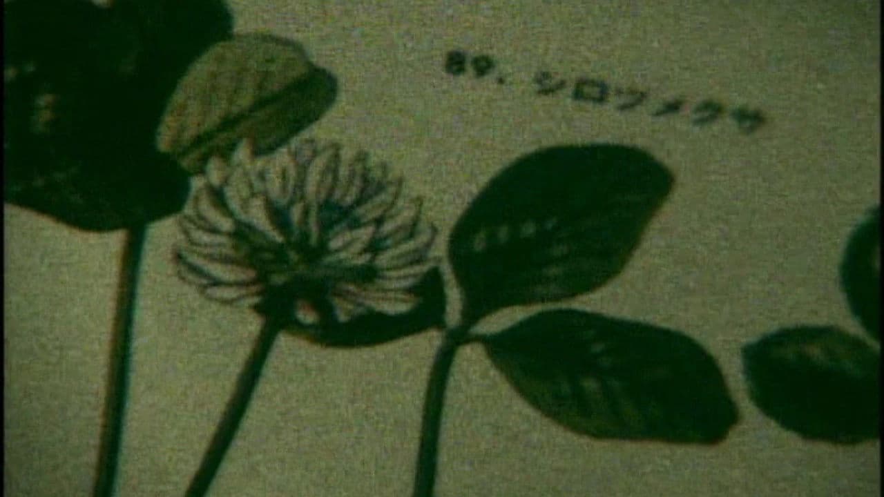 世界はときどき美しい