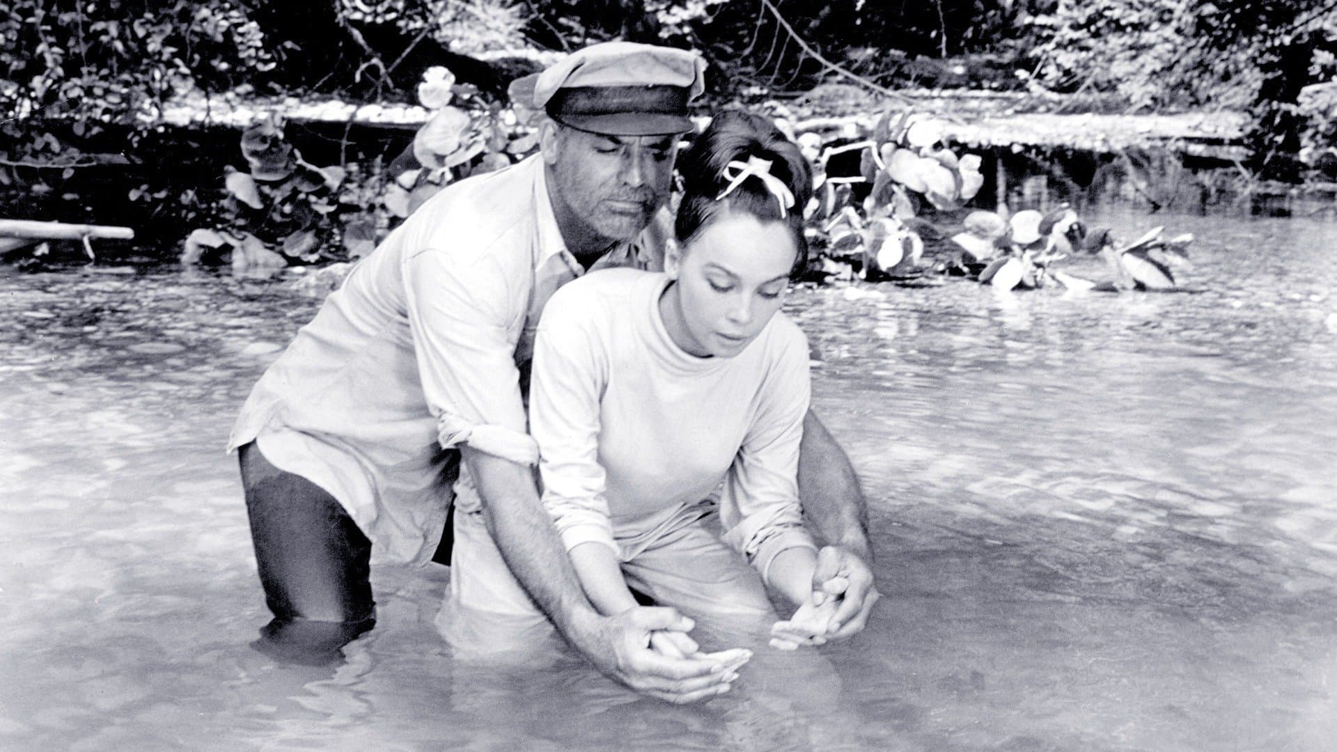 Grand méchant loup appelle
