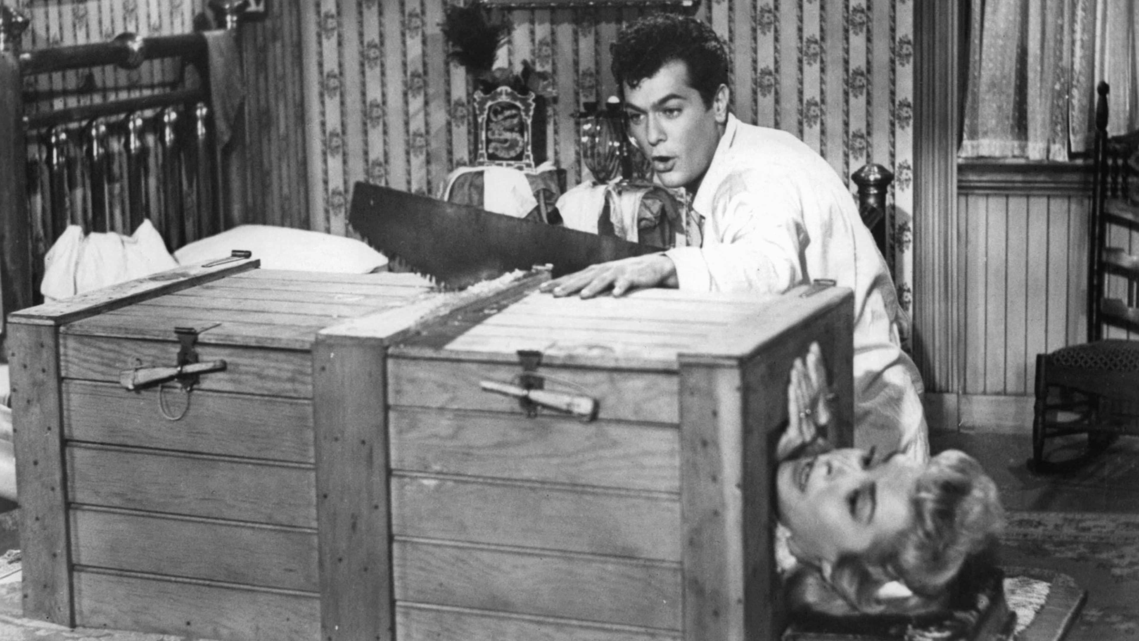 Houdini le grand magicien