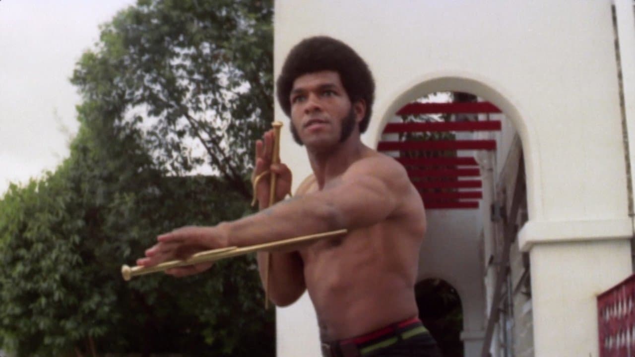 On m'appelait Bruce Lee