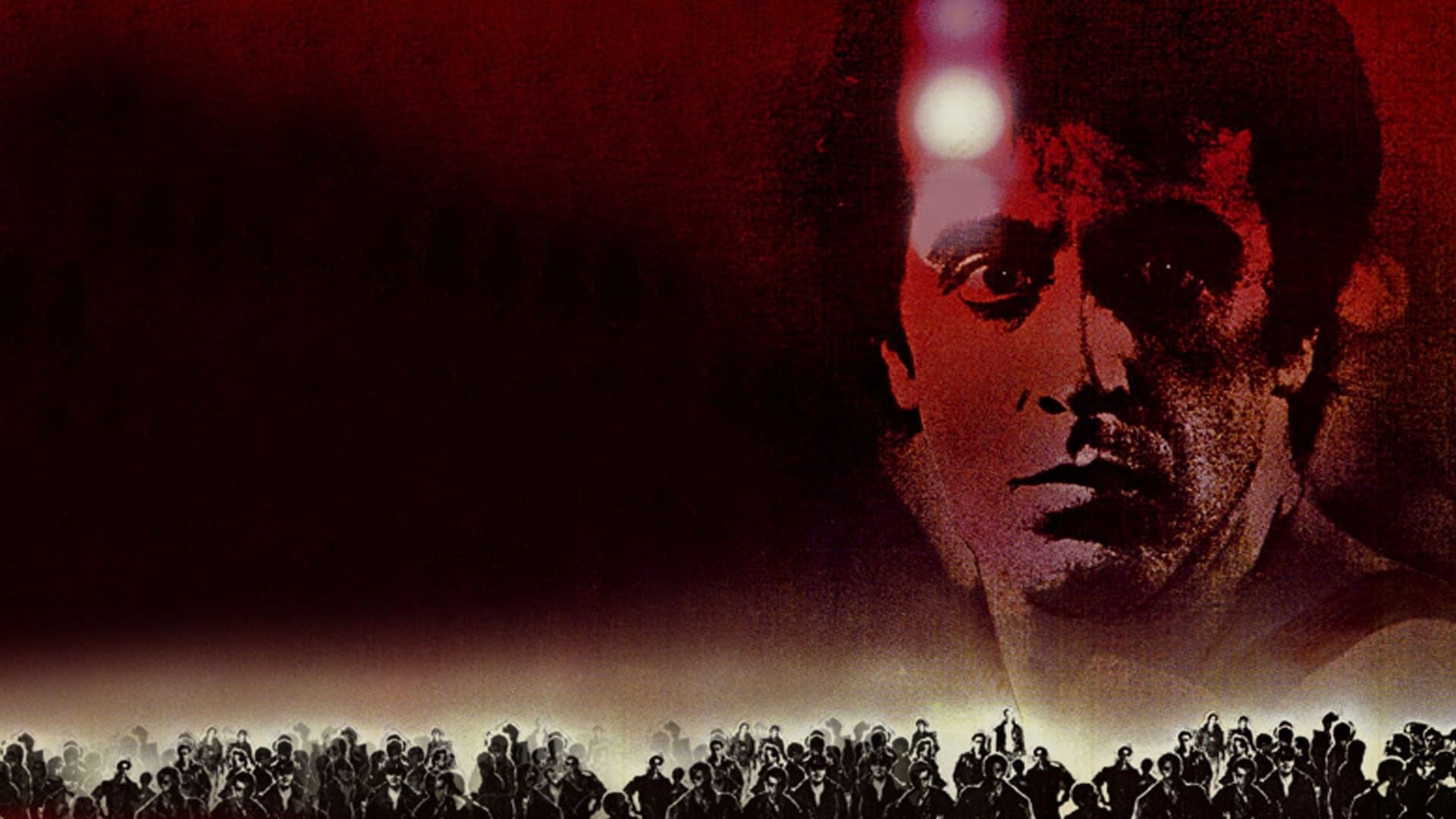 Cruising : La Chasse