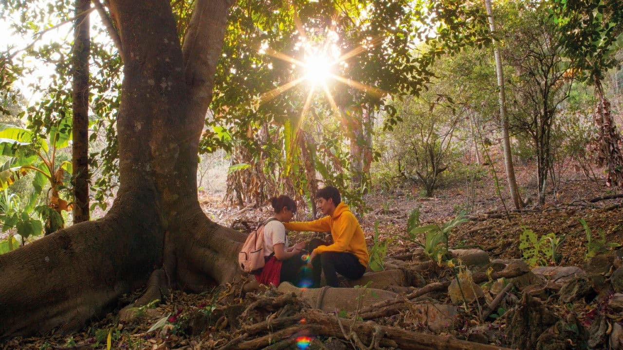 Más Allá de mi Cabeza