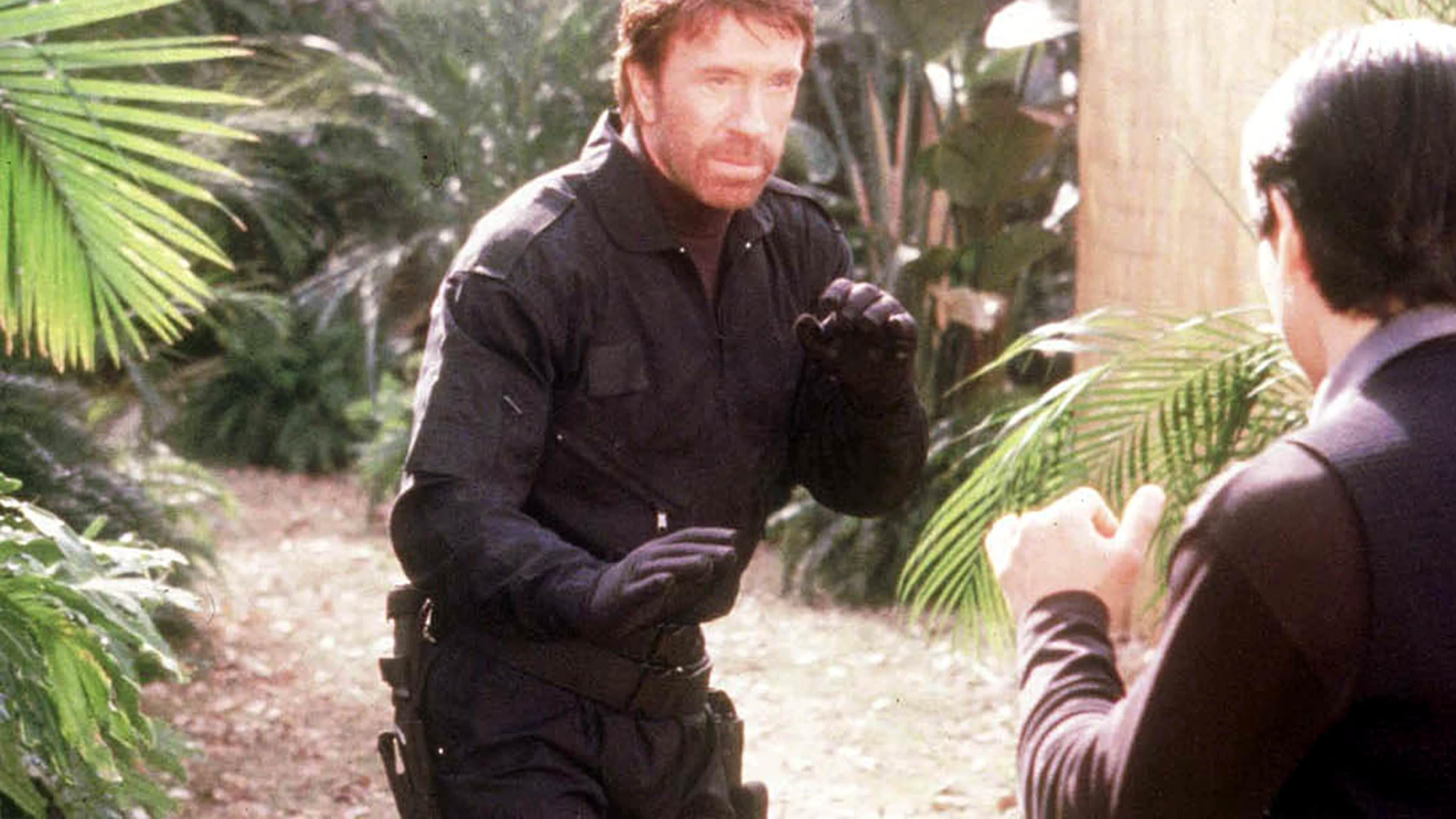 L'Homme du Président 2 - mission spéciale