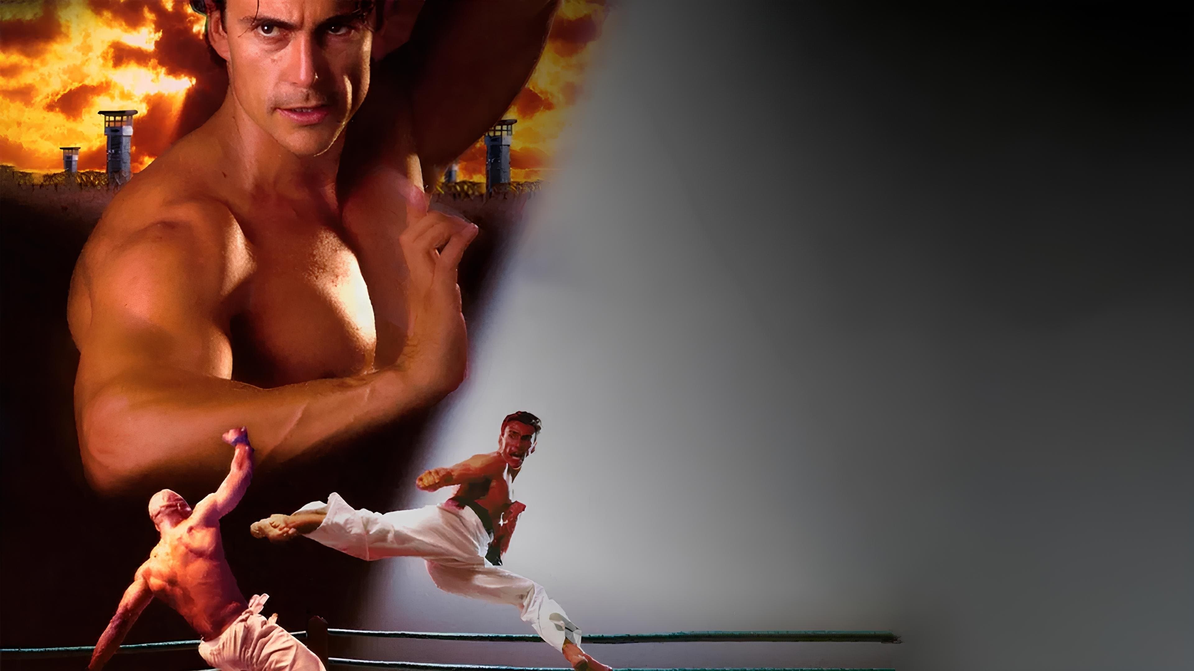 Bloodsport 4 : The Dark Kumite