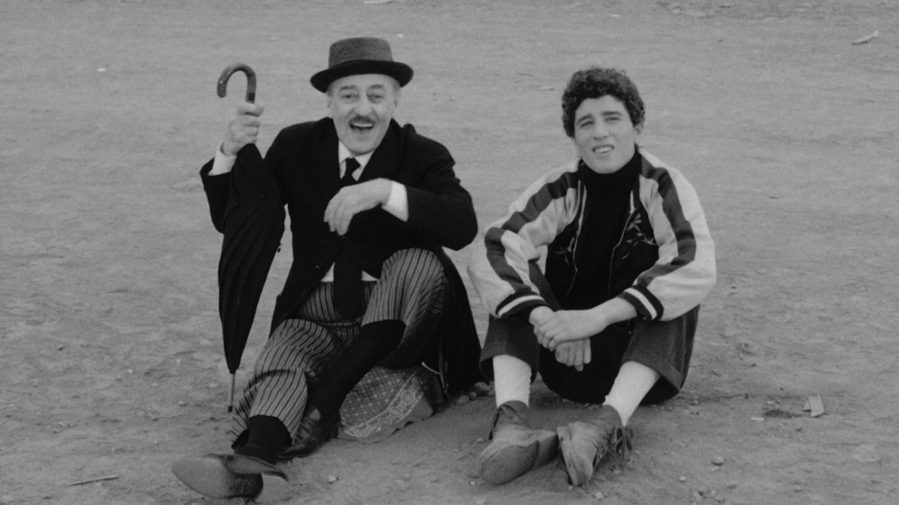 Des oiseaux, petits et gros