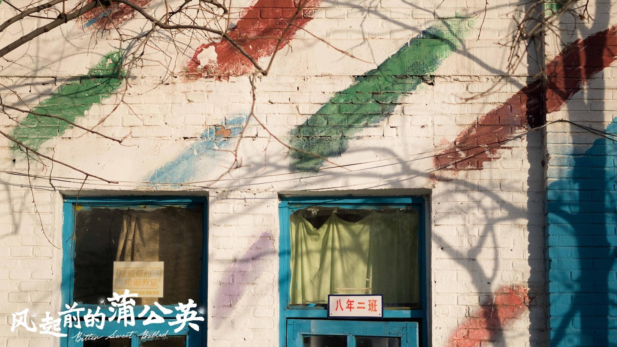 风起前的蒲公英