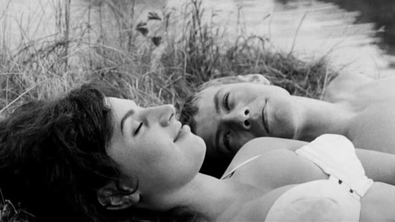 Le Soleil dans le Filet