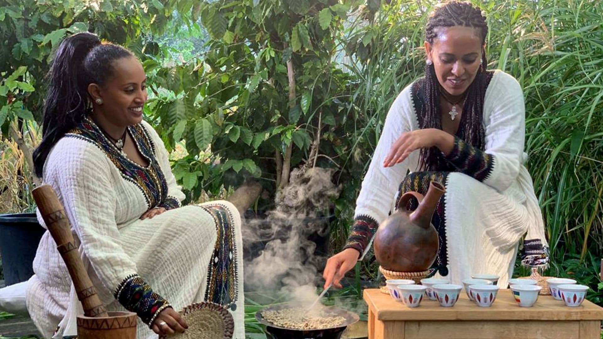 Le Café : Secrets d'un nectar