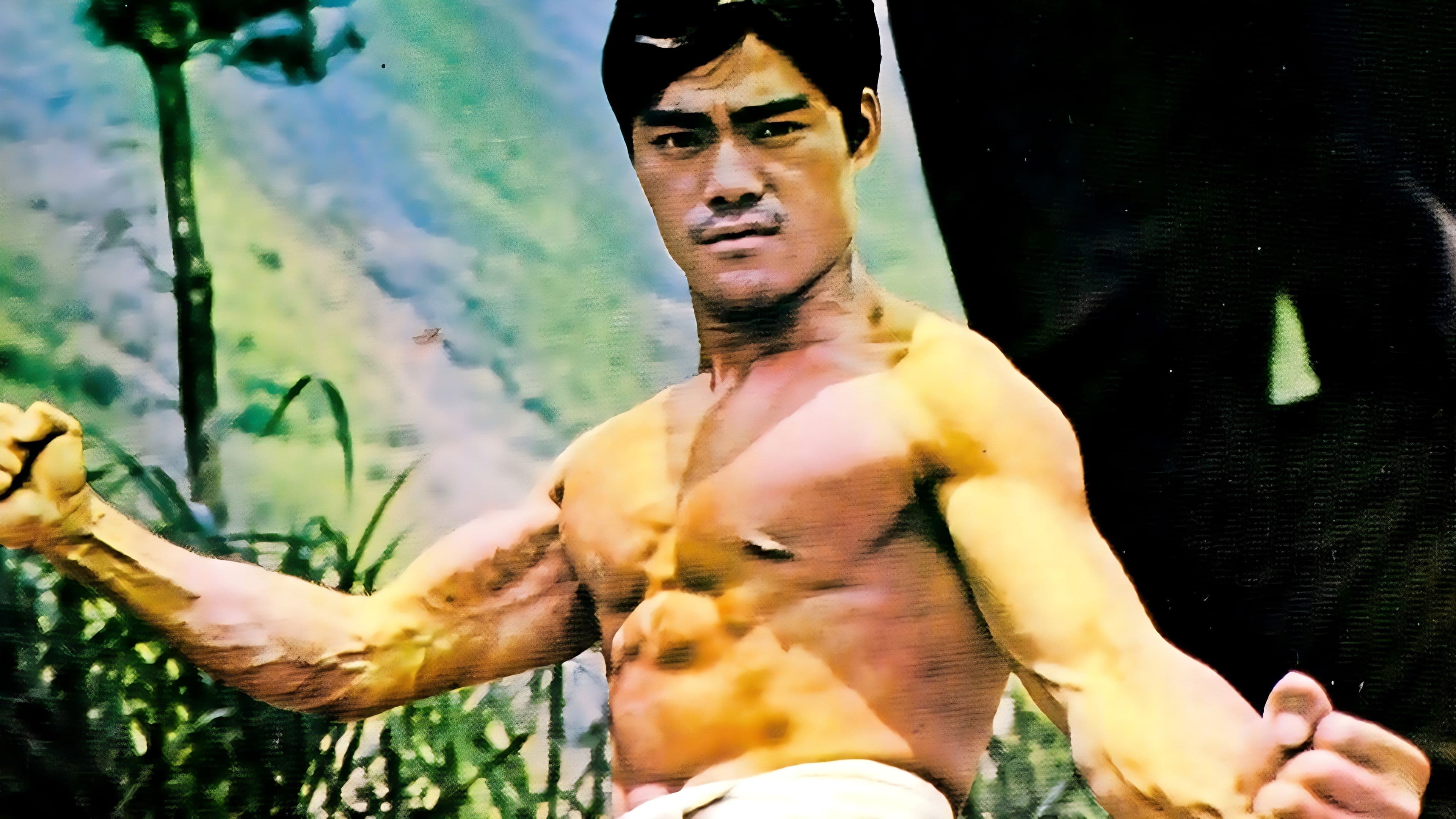 Nous y en a « riz » le bol