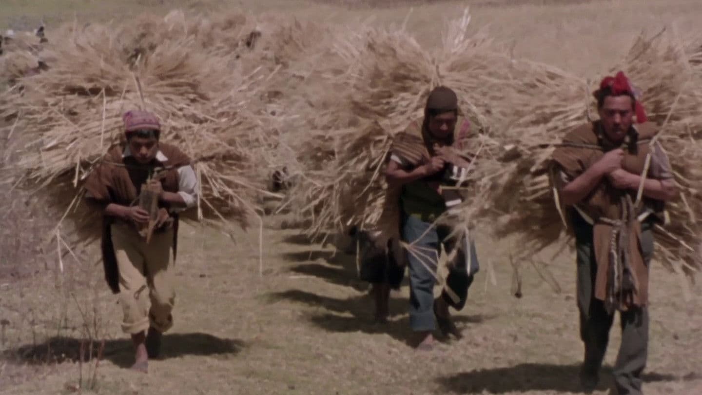 Mémoires d'une enfant des Andes