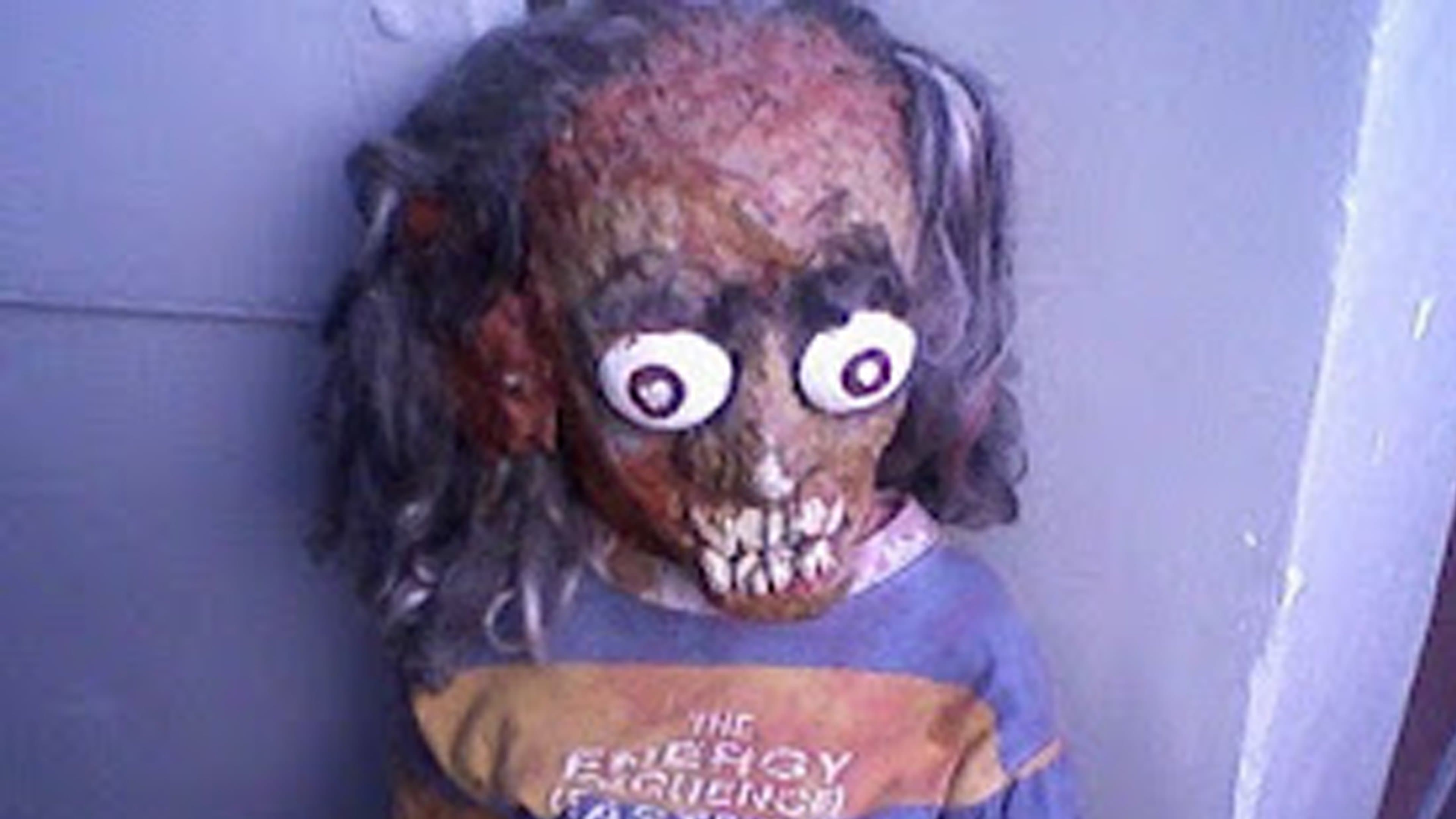 El proyecto del Pitufo Enrique