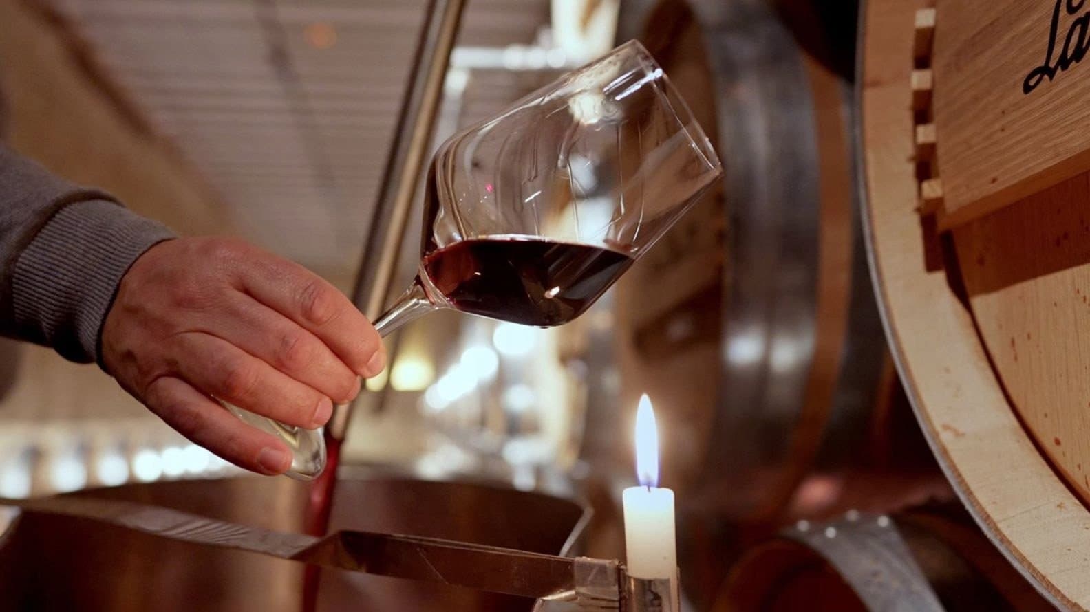 Rioja, la tierra de los mil vinos