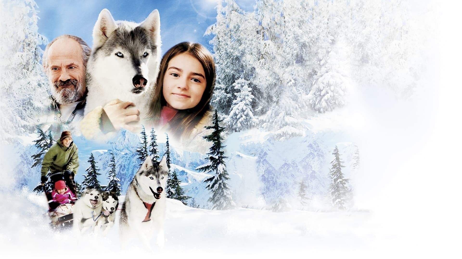 L'Appel de la forêt