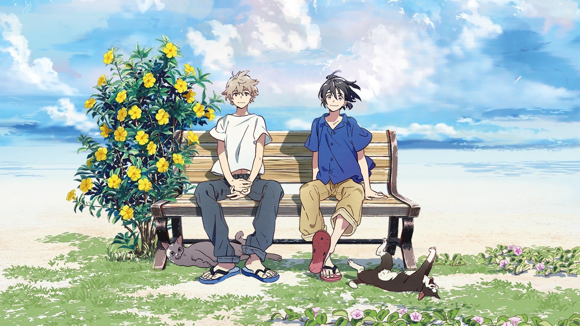 L'étranger de la Plage