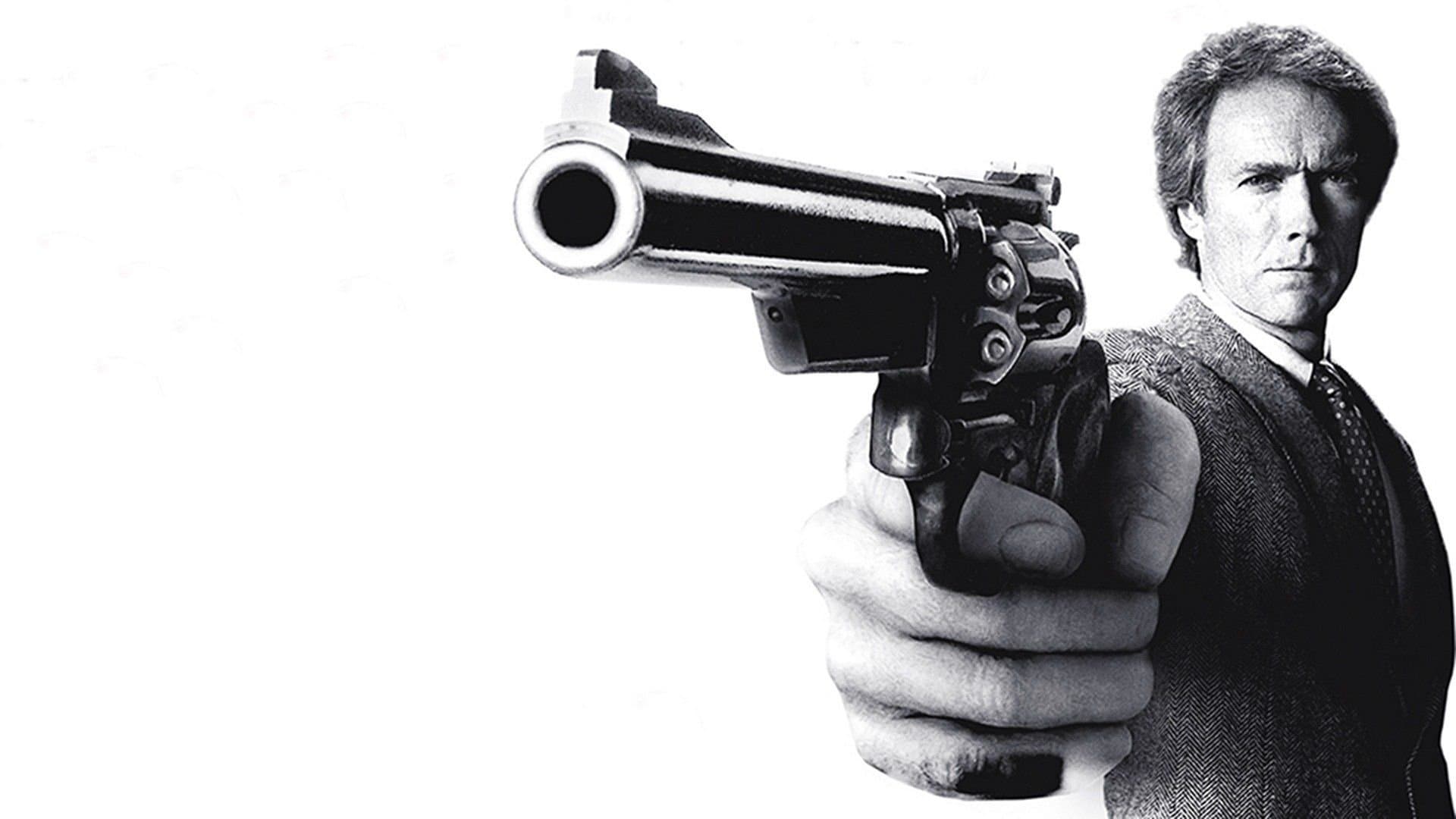 Le Retour de l'inspecteur Harry