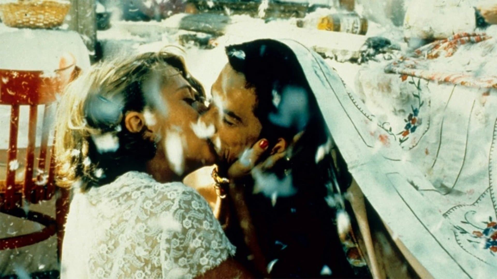 Chat noir, chat blanc