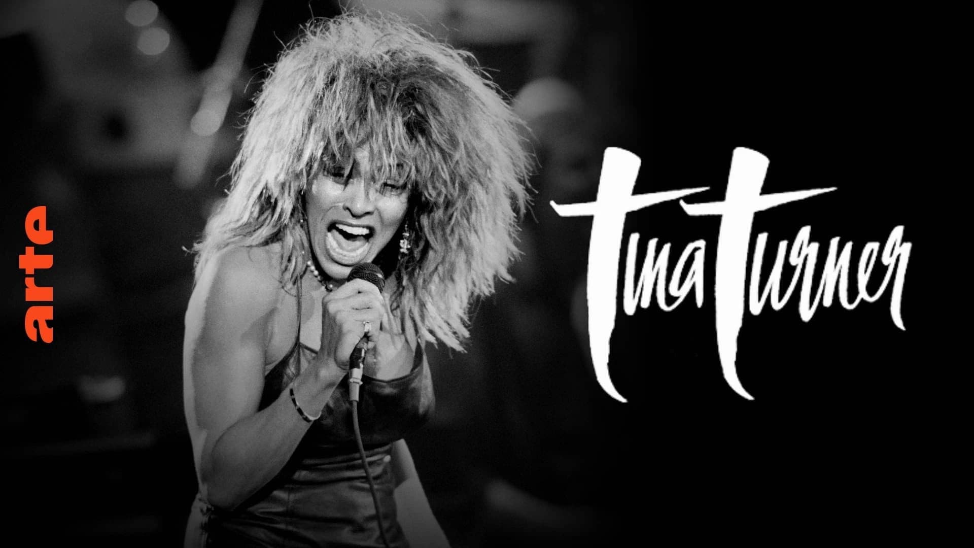 Tina Turner, la rage de vivre
