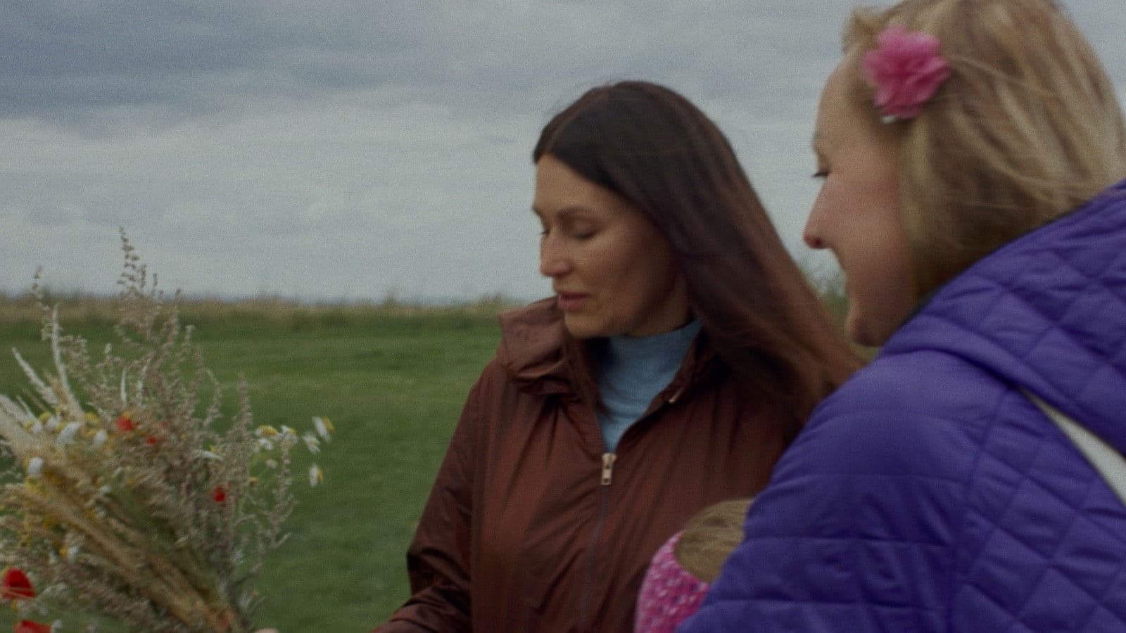 Là où errent les loups