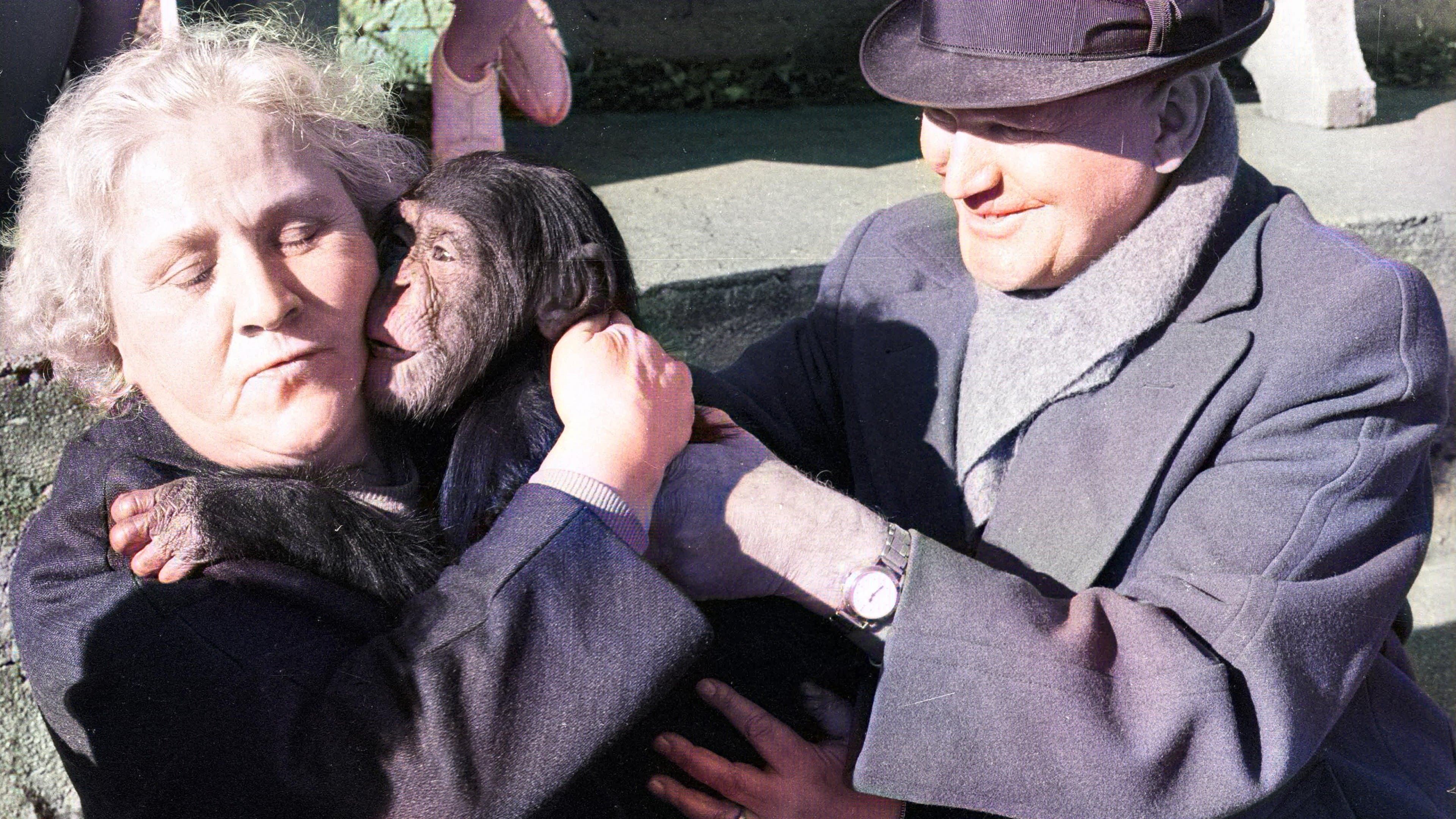 Au pays du silence et de l'obscurité