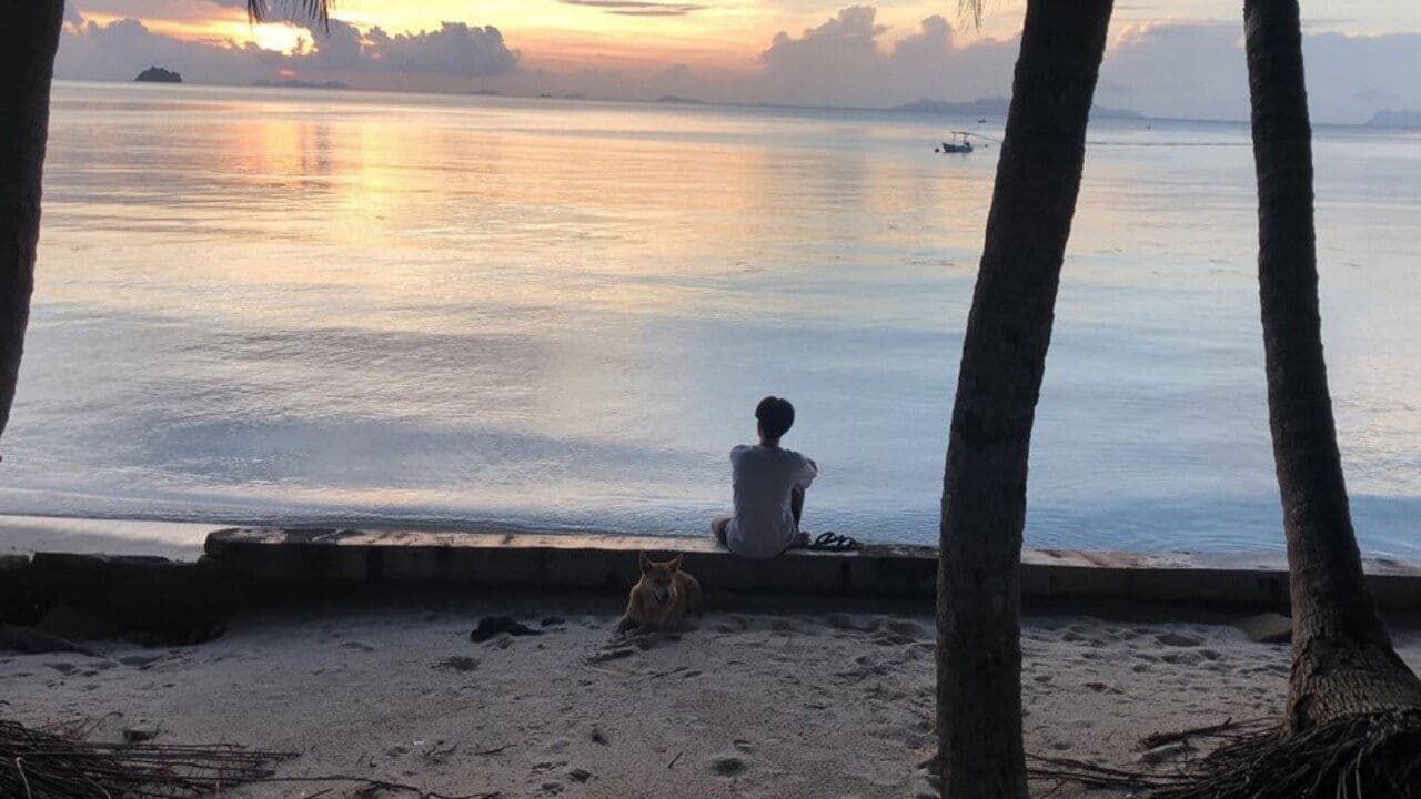 หนังหลังความตาย