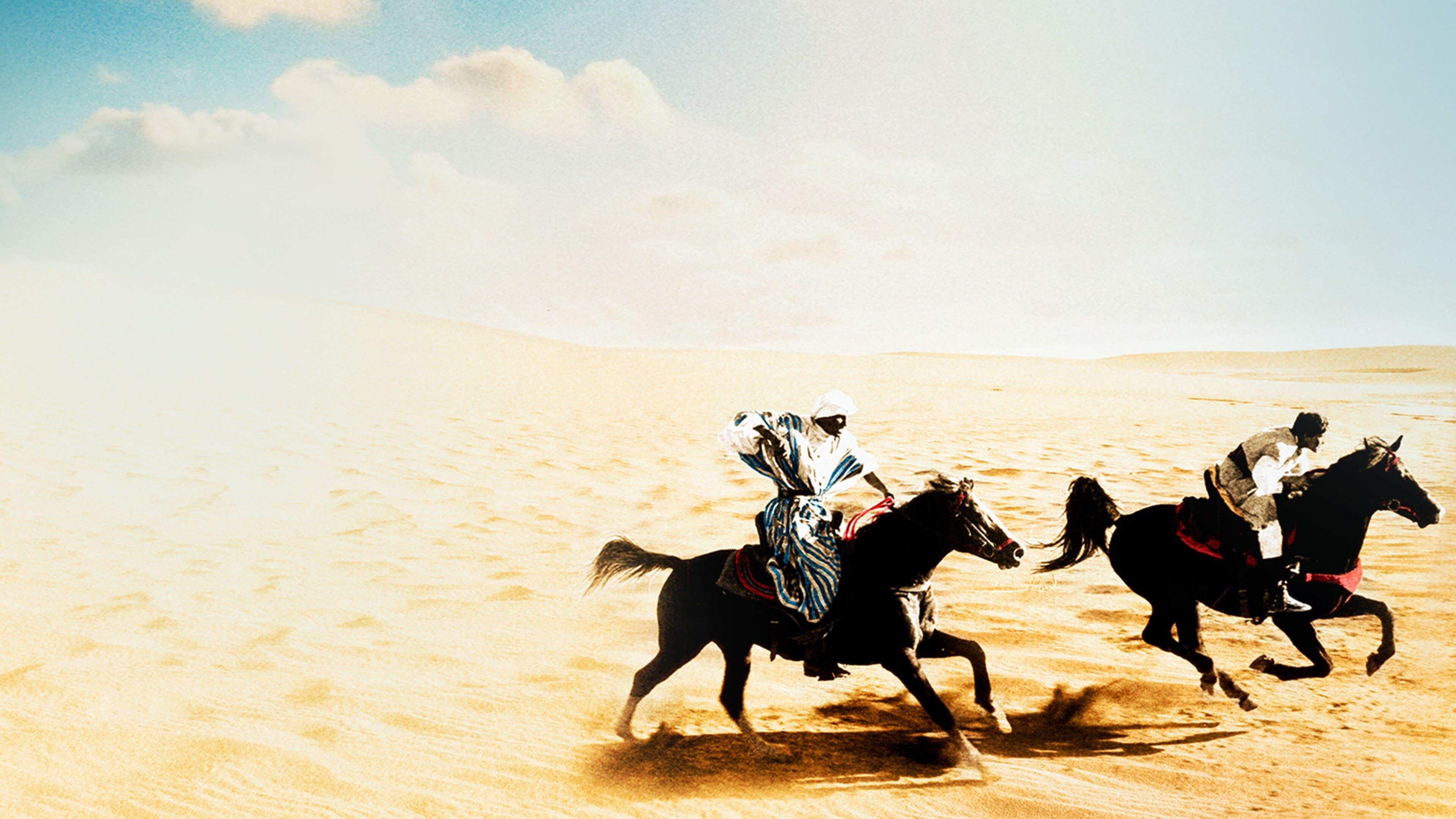 Le Retour de l'Étalon noir