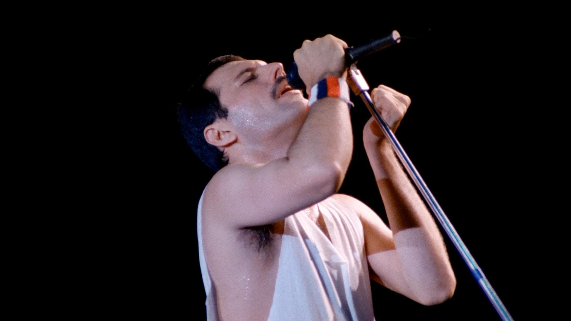 Queen - Hungarian Rhapsody : Live in Budapest