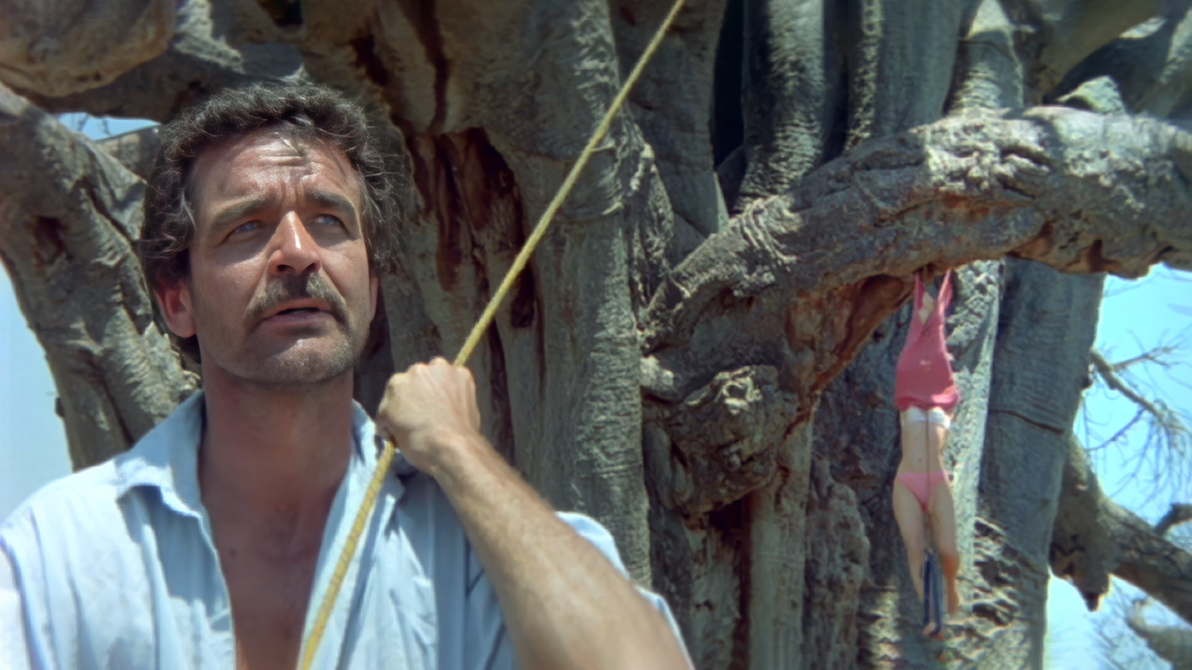 Les Dieux sont tombés sur la tête 2