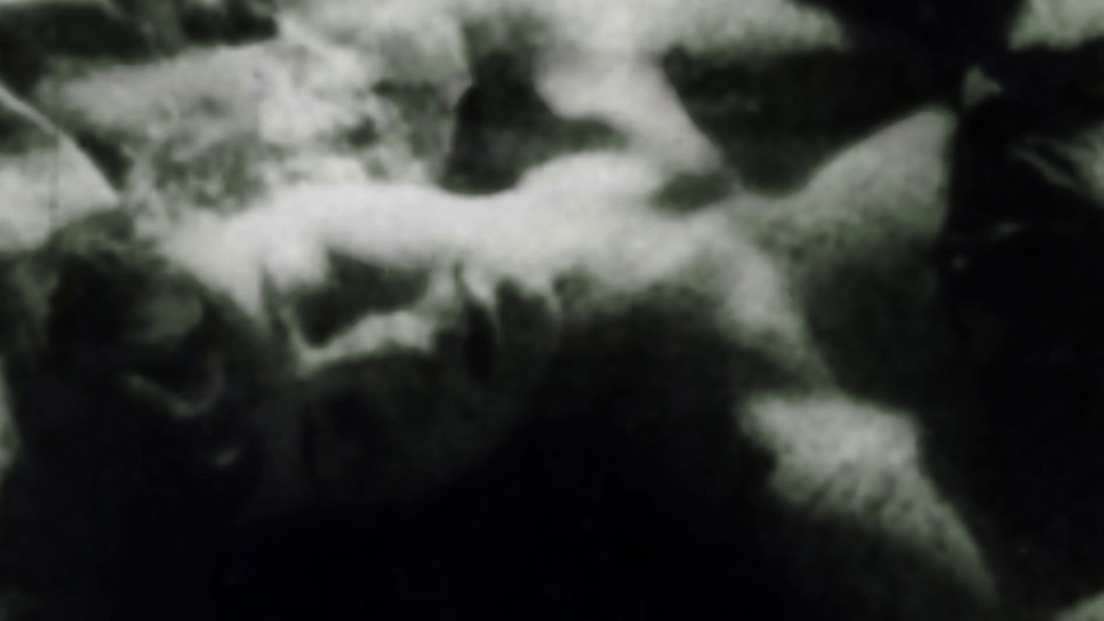 A szemünkön át vagyunk mi