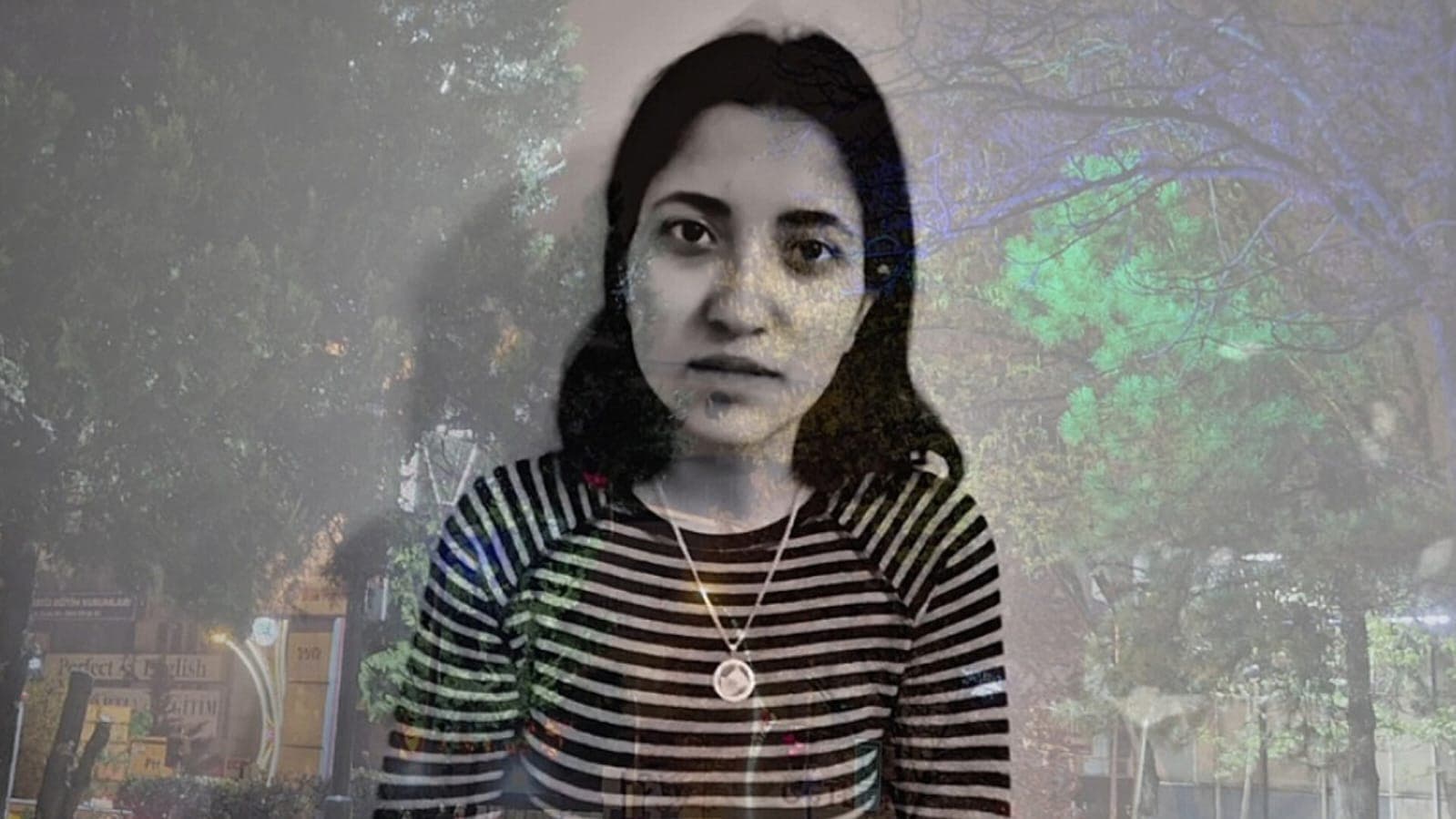 Bir Çöküşün Anatomisi