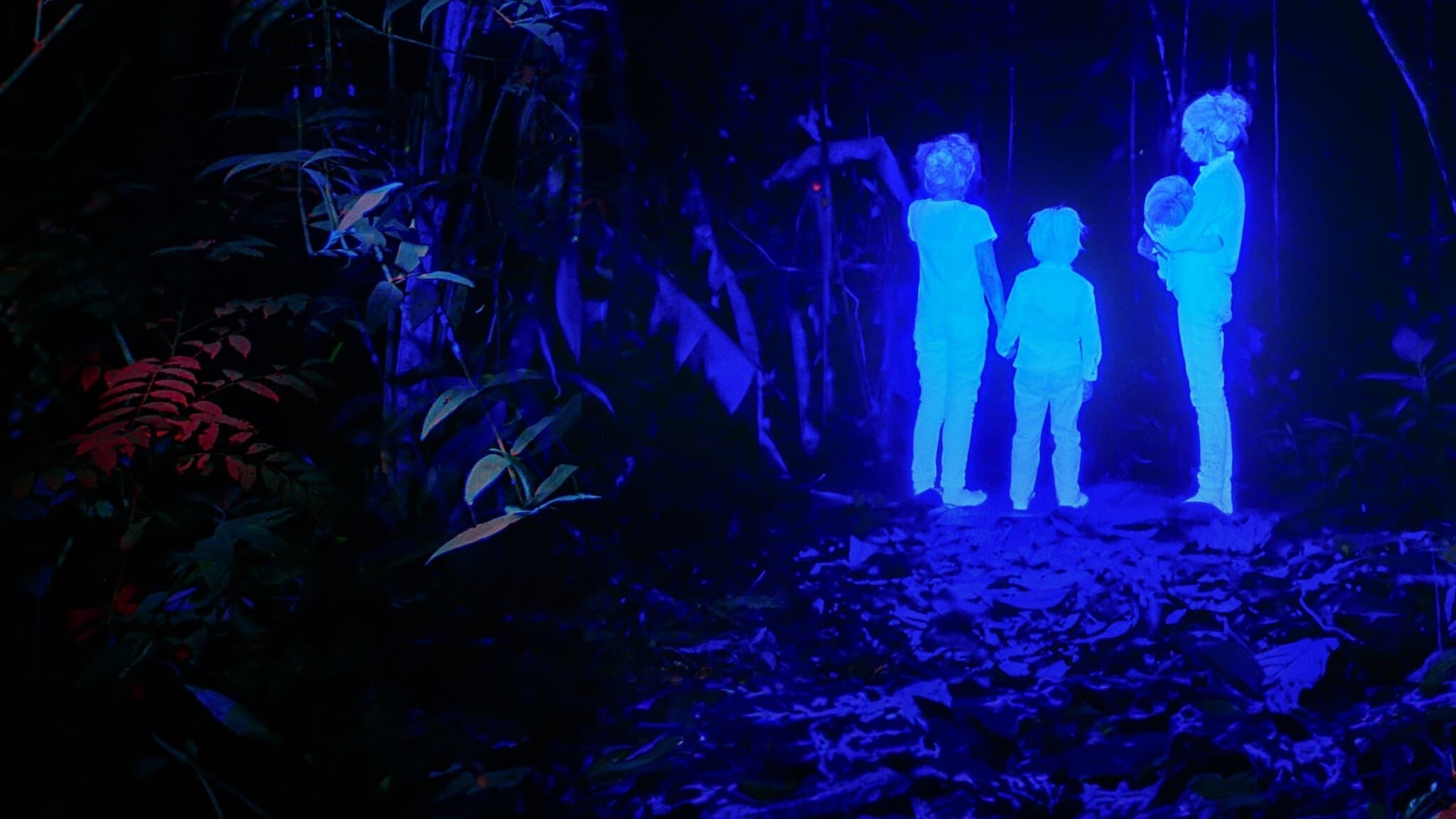 Les Enfants perdus : 40 jours dans la jungle