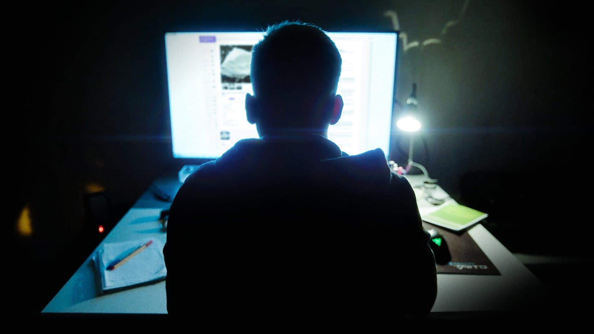 Shiny_Flakes : Le Petit Baron du darknet