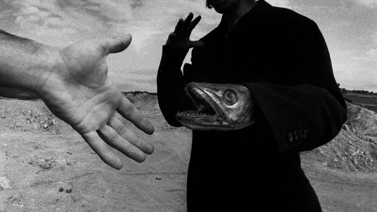 Une minute pour une image