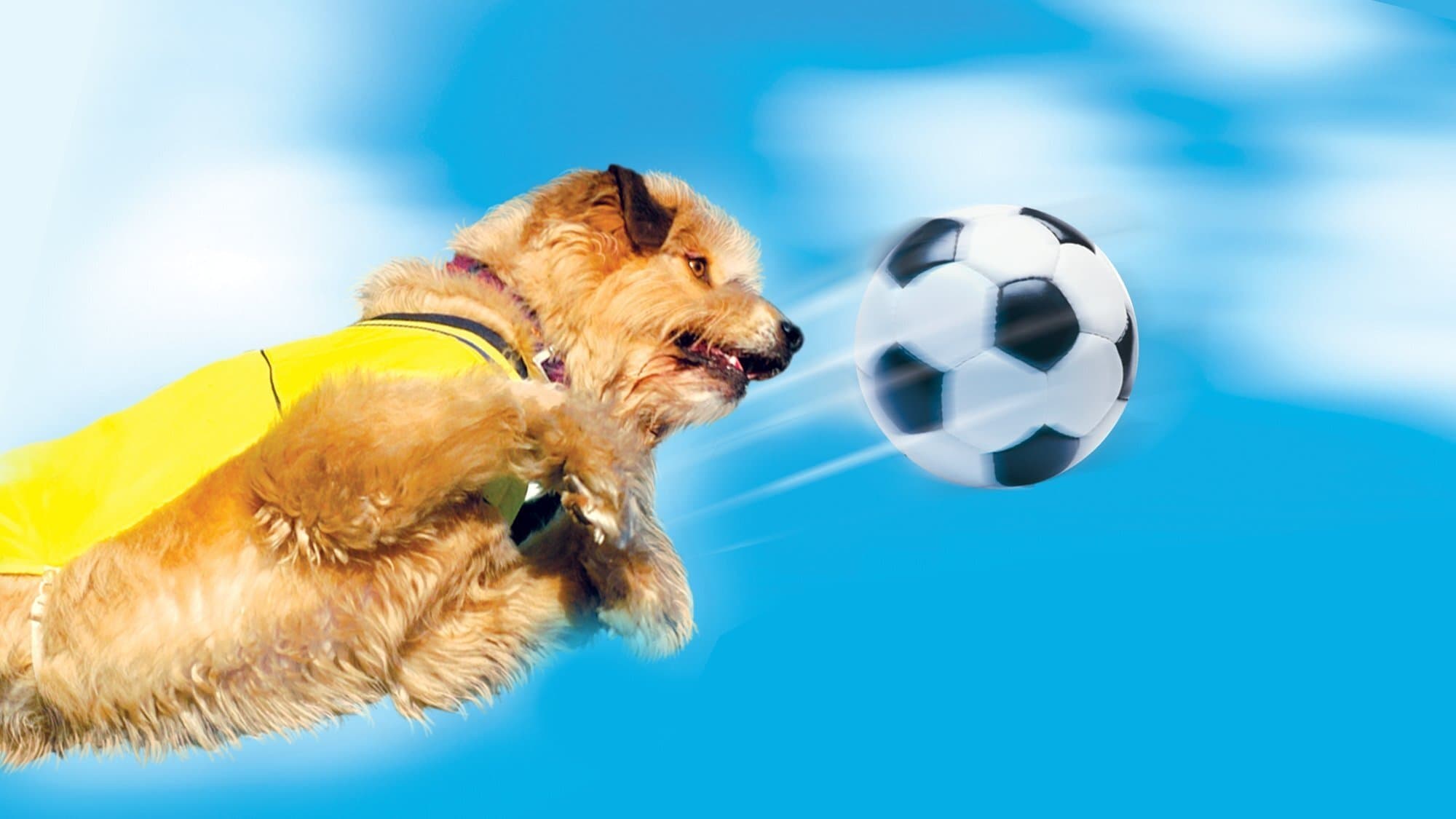 Soccer Dog 2: championnat d'Europe