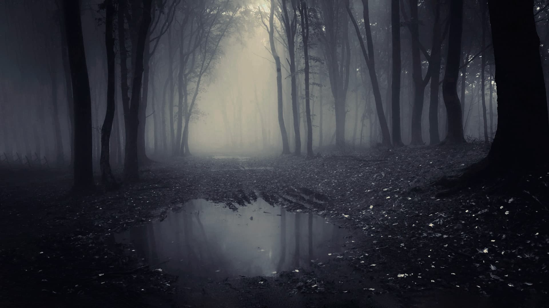 A Lenda do Homem Pássaro