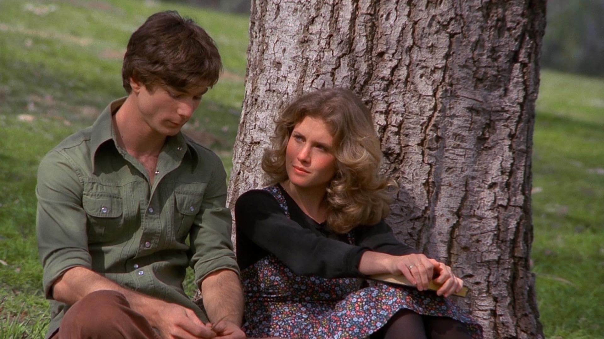 Les Baskets se déchaînent