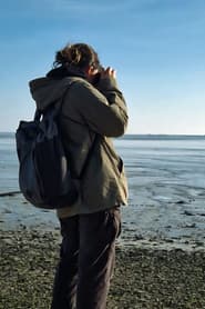 Mortimer Basset-Joffre