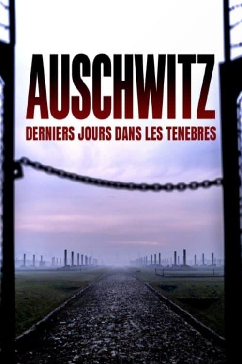 Auschwitz : Derniers Jours Dans Les Ténèbres