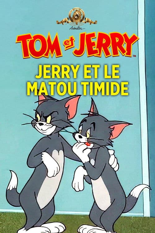 Jerry et le matou timide