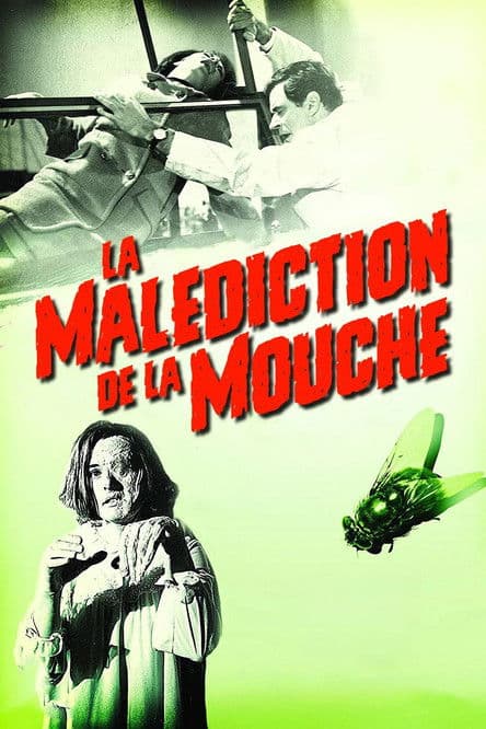 La Malédiction de la mouche