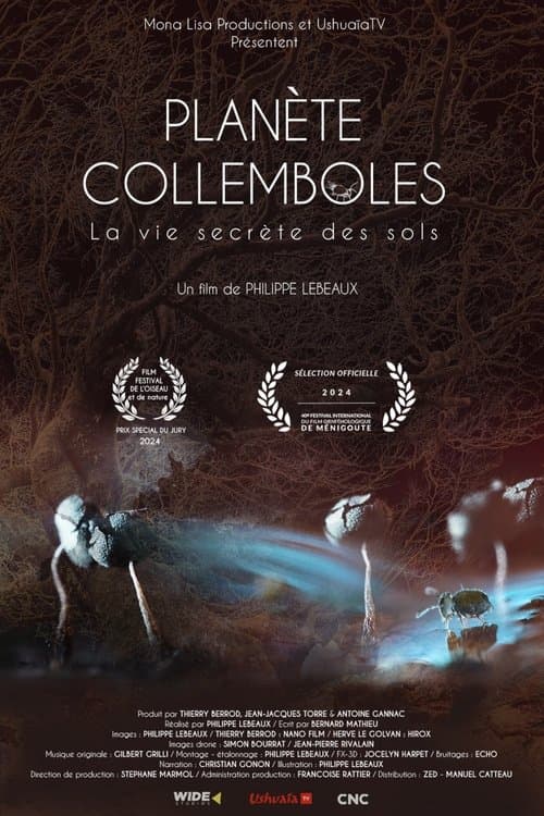Planète collemboles : la vie secrète des sols
