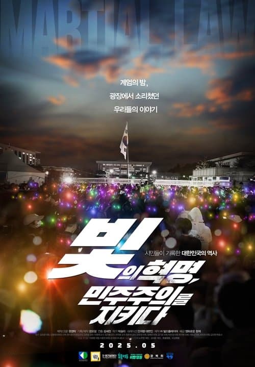 빛의 혁명, 민주주의를 지키다