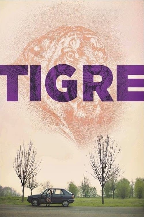 Tigre
