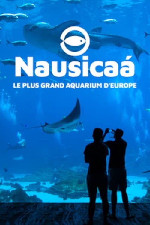 Nausicaa, le plus grand aquarium d'Europe