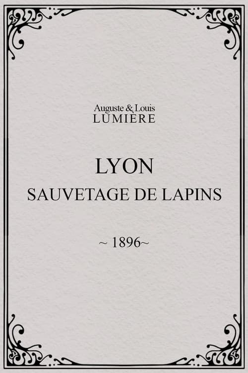 Lyon : sauvetage de lapins
