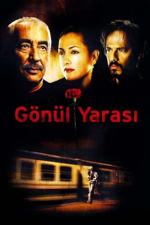 Gönül yarasi, blessures du coeur