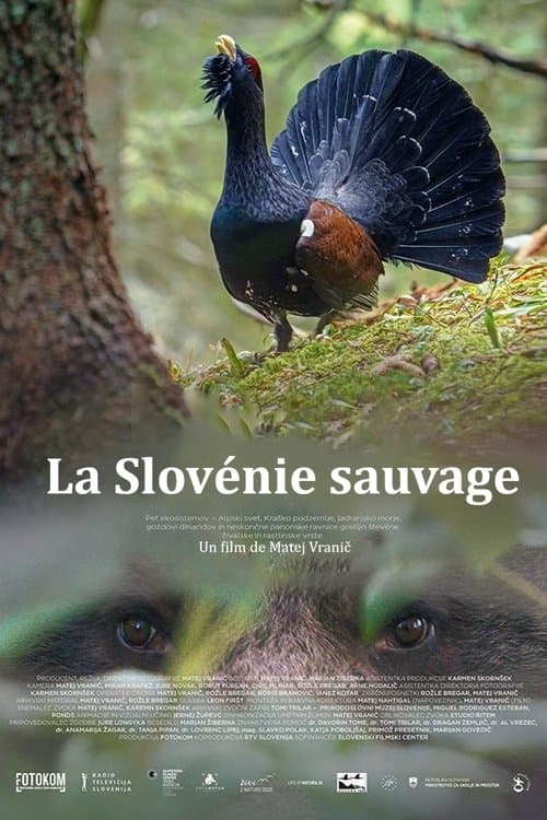 La Slovénie sauvage