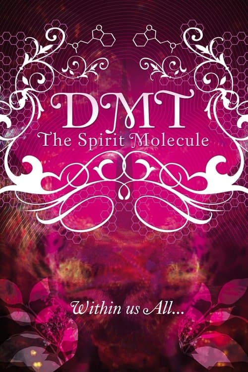 DMT : The Spirit Molecule