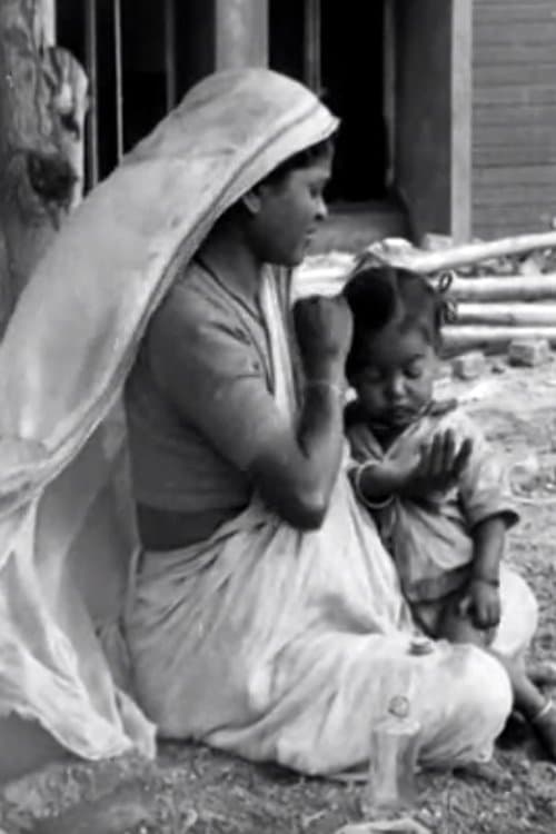 A Day with the Builders