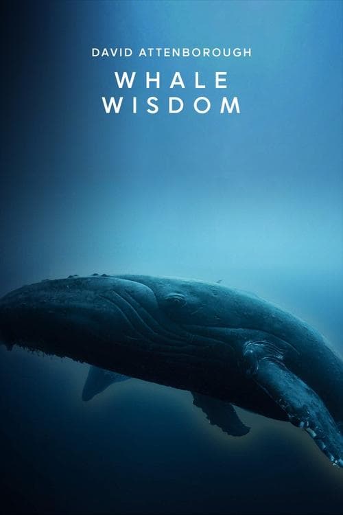La sagesse des baleines