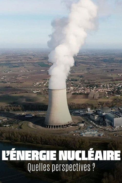 L’énergie nucléaire, quelles perspectives?